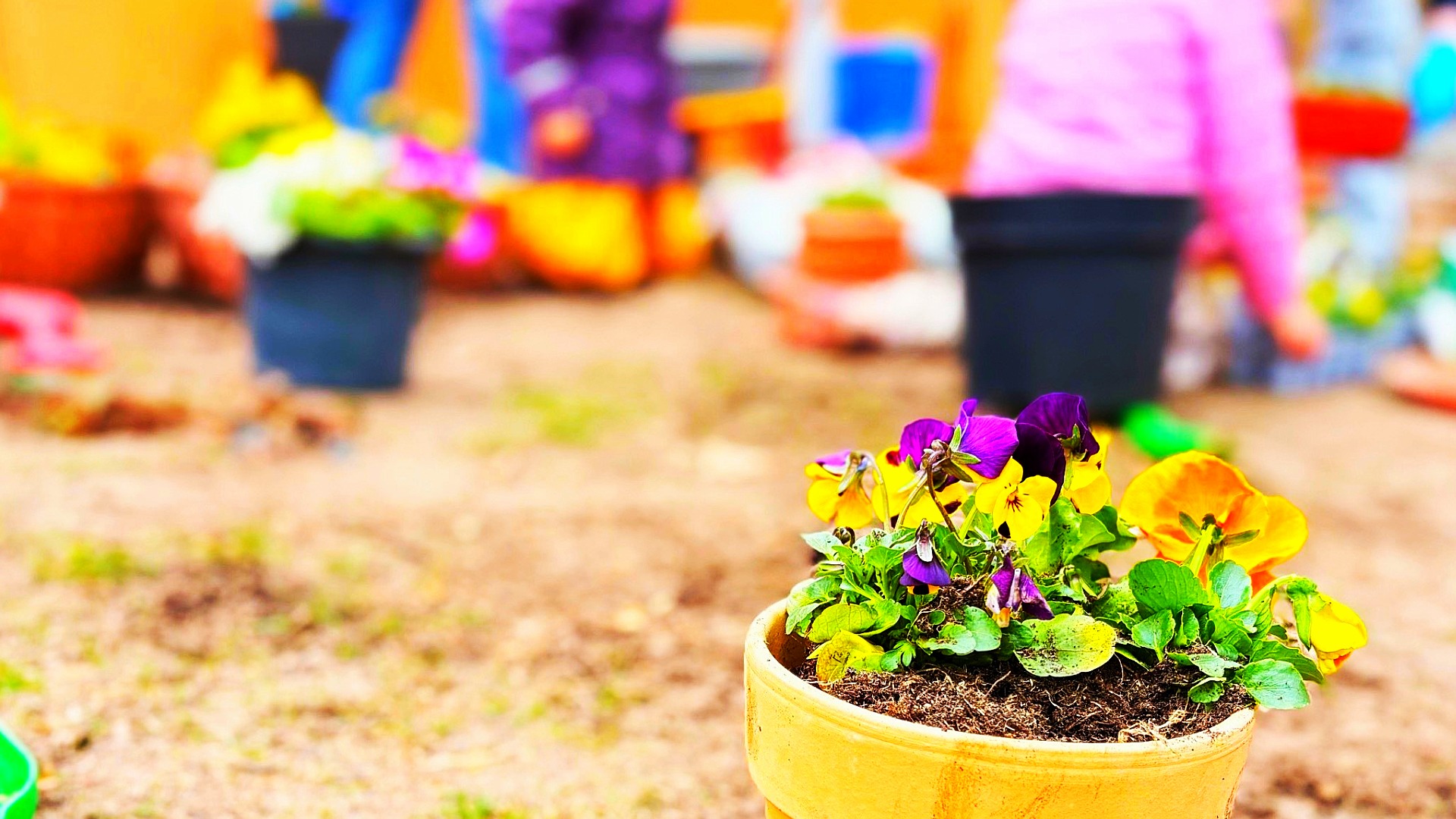 Den Frühling erblühen lassen