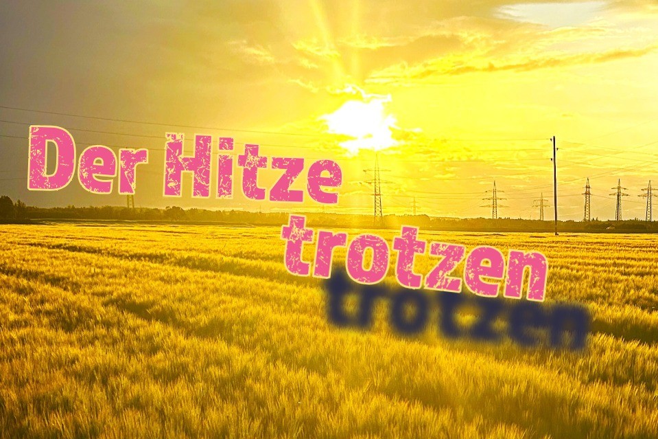 Gemeinsam für gesundheitlichen Hitzeschutz