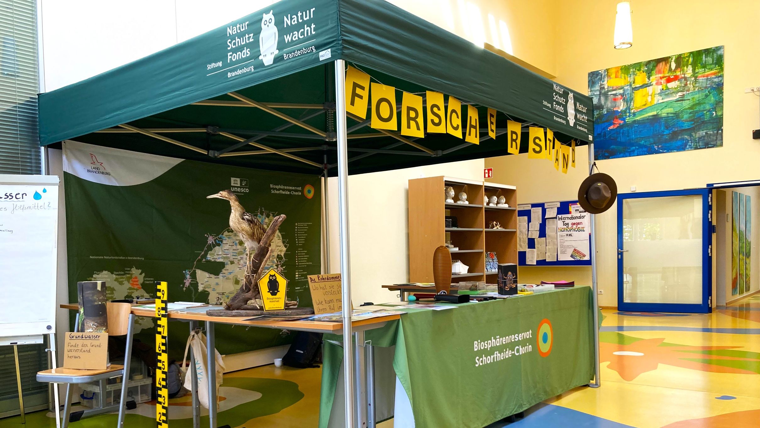 An einem Infostand im Foyer unseres Gymnasiums werden auf Schautafeln und Infoflyer Themen wie Naturschutz und Ökologie informativ dargestellt.