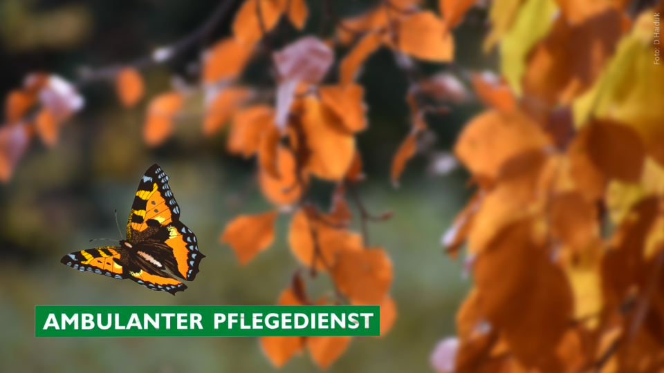 20251014_APDA_Herbst-mit-Logo-Header-16x9-515KB.png 20251014_APDA_Herbst-mit-Logo-16x9-Header-NEU-540KB.png