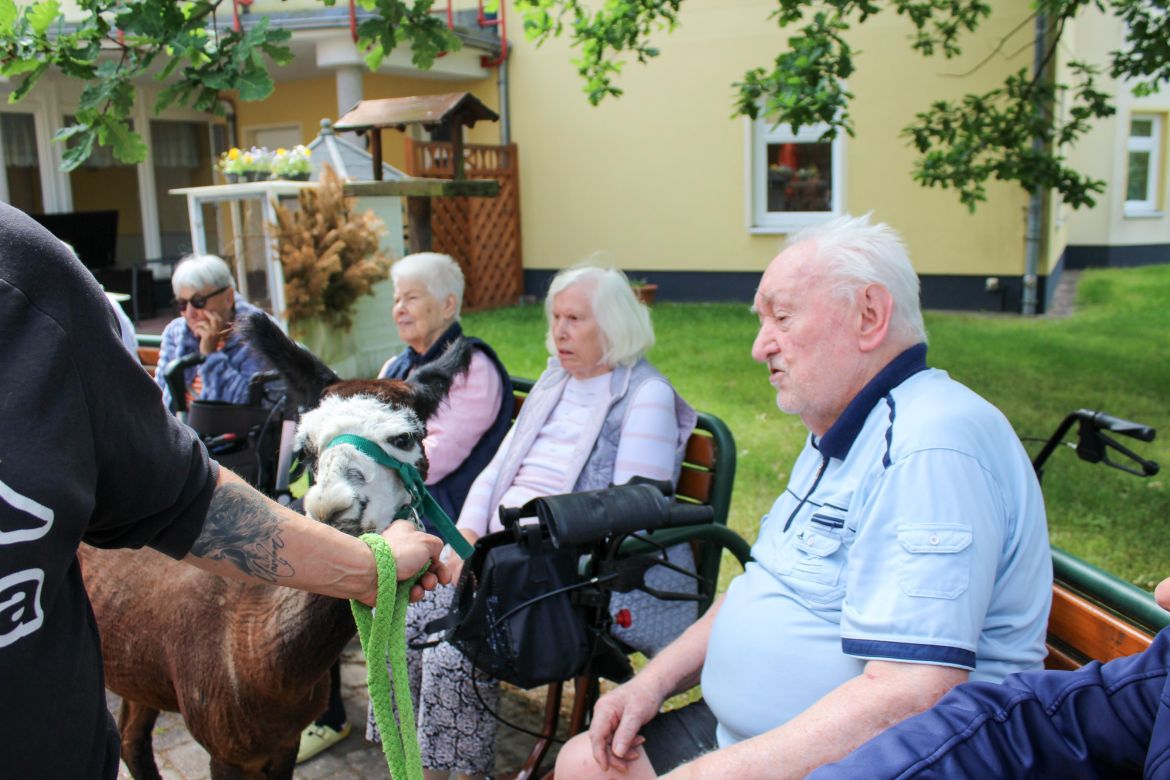 20260629_NEWS_SE-HOF_Alpaka [ASB RV Barnim - DAH] (1)_700KB.jpg