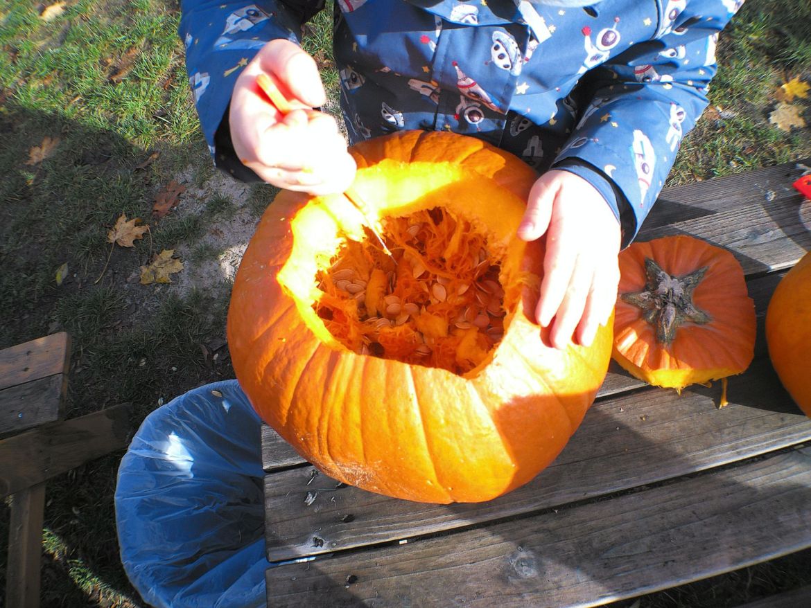 20251028_Kita-2-Kürbisfest  (22)_edited.jpg