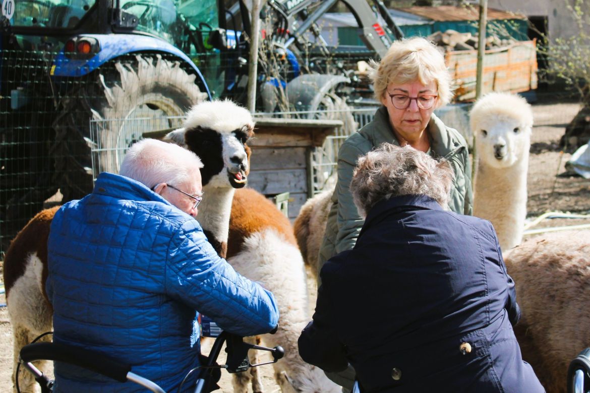 20260402_SE_Alpaka [ASB RV] (3).JPG