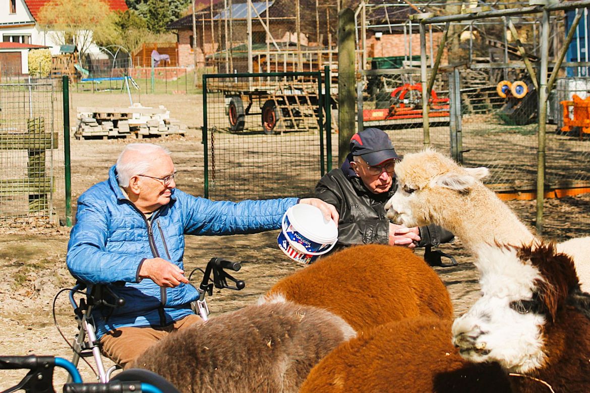 20260402_SE_Alpaka [ASB RV] (4).JPG