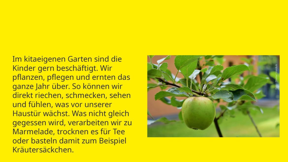 20250730_GALERIE-WEB_Kita-Plätze-2.jpg