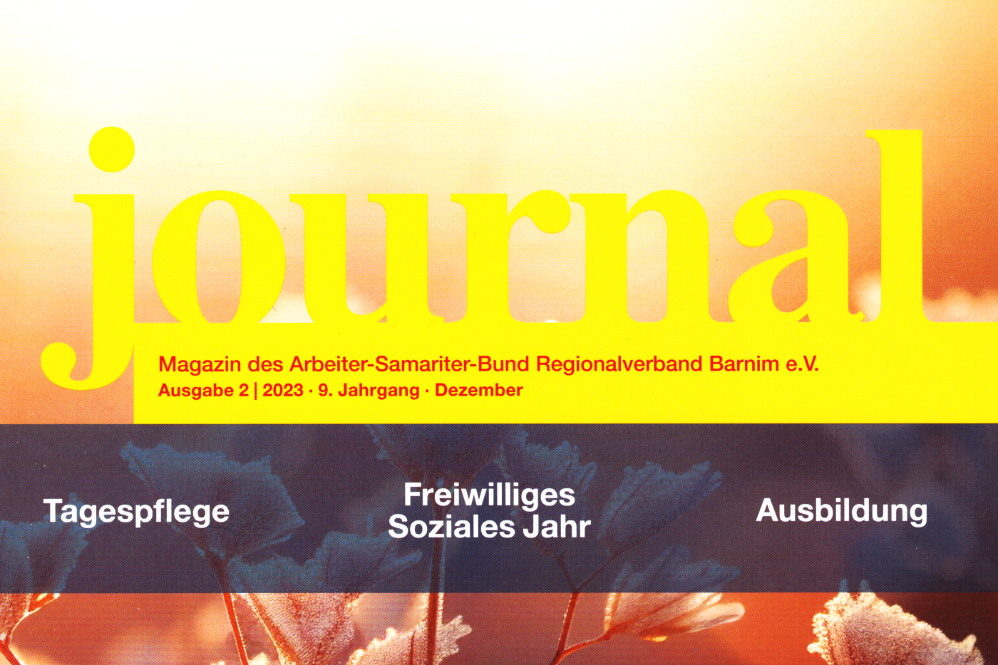 Herbst-Journal unseres Regionalverbandes erschienen